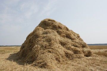 Haystack