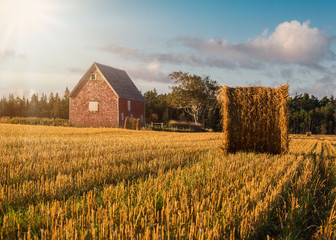 Hay bales in rural Prince Edward Island, Canada.