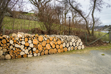 pile of natural wooden logs
