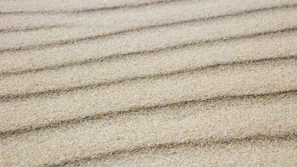 Sand ripples forming a wave pattern in beach sand