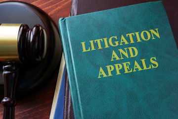 Litigation and appeals title on a book and gavel.