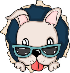 Cute dog peeking out