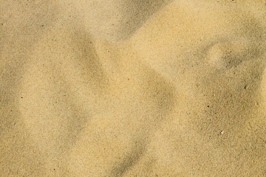 Sand texture. Sandy beach for background