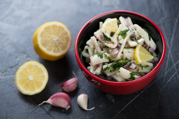 Calamari salad with red onion filling on a dark grey stone background, horizontal shot