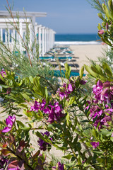 Forte dei Marmi, spiaggia