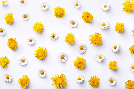 Fototapeta Daisy and dandelion pattern. Flat lay spring and summer flowers on a white background. Repeat concept. Top view