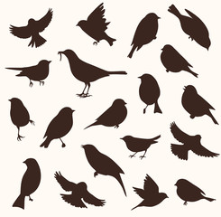 Vector set of bird silhouette. Sitting and flying birds - 145128603