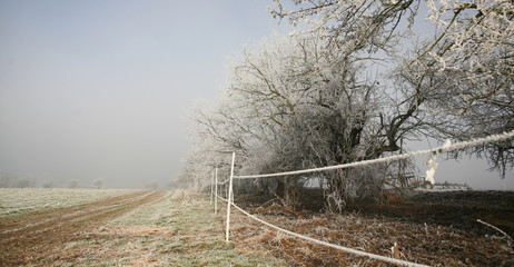 frosty winter day