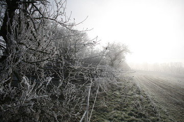 frosty winter day