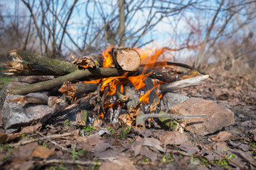 Campfire, close up, burns in the hearth from the collected stones