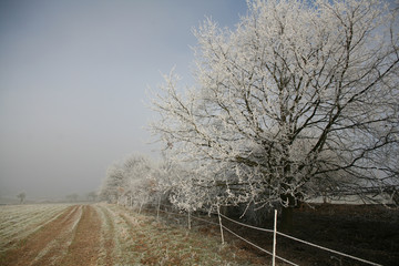 frosty winter day