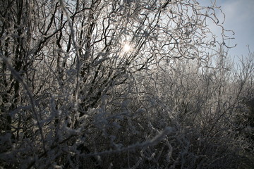 frosty winter day