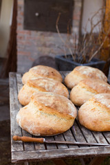 fresh homemade breads