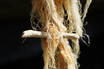 tangled, tree in algae