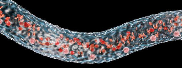 Blood vessel with flowing blood cells isolated on black background, side view, 3D illustration
