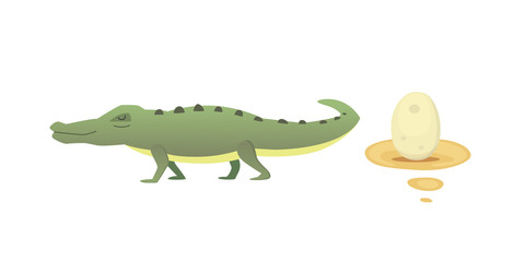 Cute Crocodile set. Aligator vector cartoon illustration