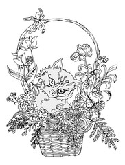 Раскраска для взрослых и детей котенок в корзине с цветами.