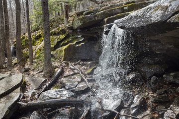 Woodland Waterfall in the Catskill Mountains