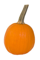 Perfect orange pumpkin with stem isolated on white