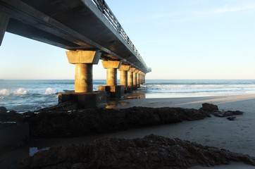 shark rock pier port elizabeth