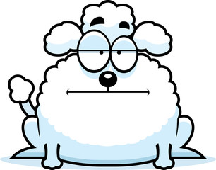 Calm Little Poodle