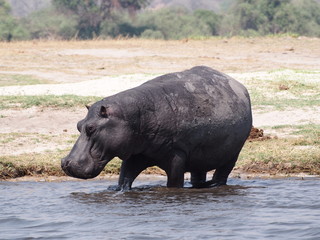 Botswana