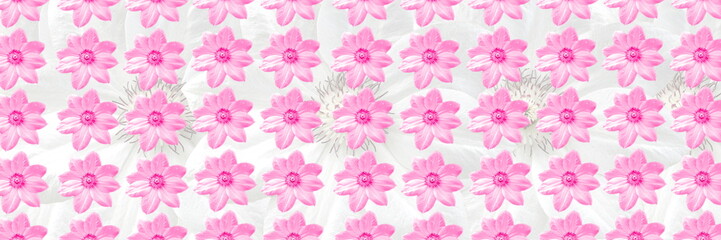pink Floral Seamless Pattern Flowers Texture background