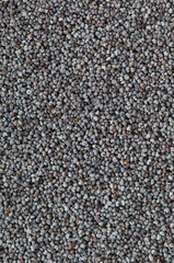 Macro blue poppy seed background texture