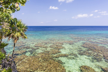 Fototapeta na wymiar Crystal Clear Roatan Barrier Reef