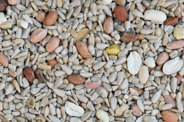 Premium bird seed mix close up background texture