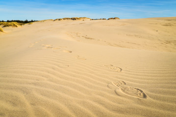 Moving colorful sand dunes in a sunny day