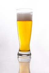 Glass of Beer