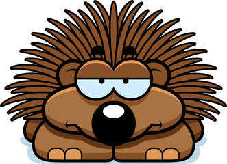 Bored Little Porcupine