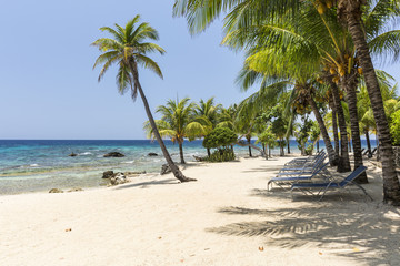 Turquoise Waters on Roatan Beach