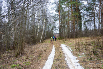 A small group of tourists walking through the spring woods.