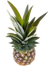 Pineapple on a white background