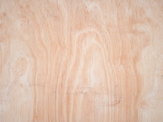 Texture of wood background