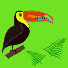 Cute hand drawn toucan card