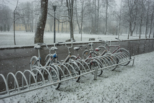Bicycles smoothly covered with fresh snow after weather phenomena - snowfall in late April near Moscow