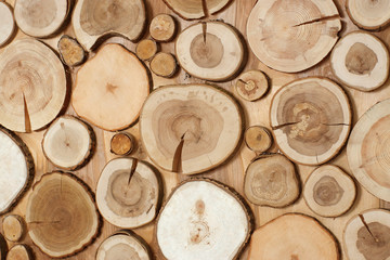 saws of trees of different sizes, natural wood, a wallpaper