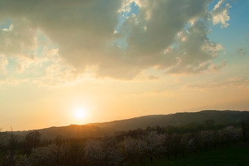 Spring sunset landscape