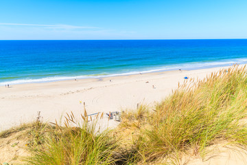 Grass sand dune and view of Kampen beach, Sylt island, Germany