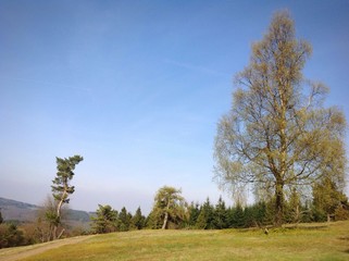 langscheid