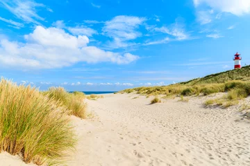 Fotobehang Afdaling naar het strand Gras op zandduinen bij Ellenbogen-strand, Sylt-eiland, Duitsland