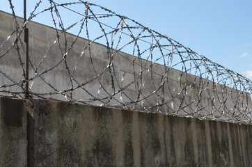 barbed wire fence