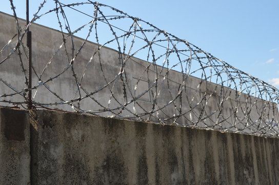 barbed wire fence