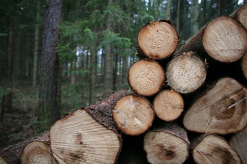 wooden logs 