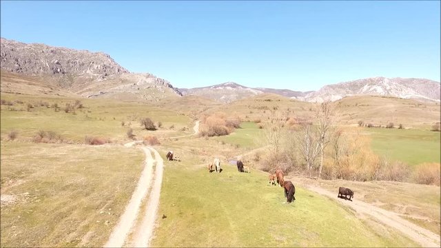 caballos en Rodiezmo 1