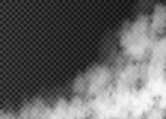 Zelfklevend Fotobehang White smoke  isolated on transparent background. © alenaohneva