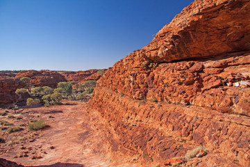 Felswand am Kings Canyon Rim Walk